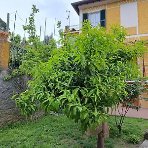 Affittacamere Antonella Pensión