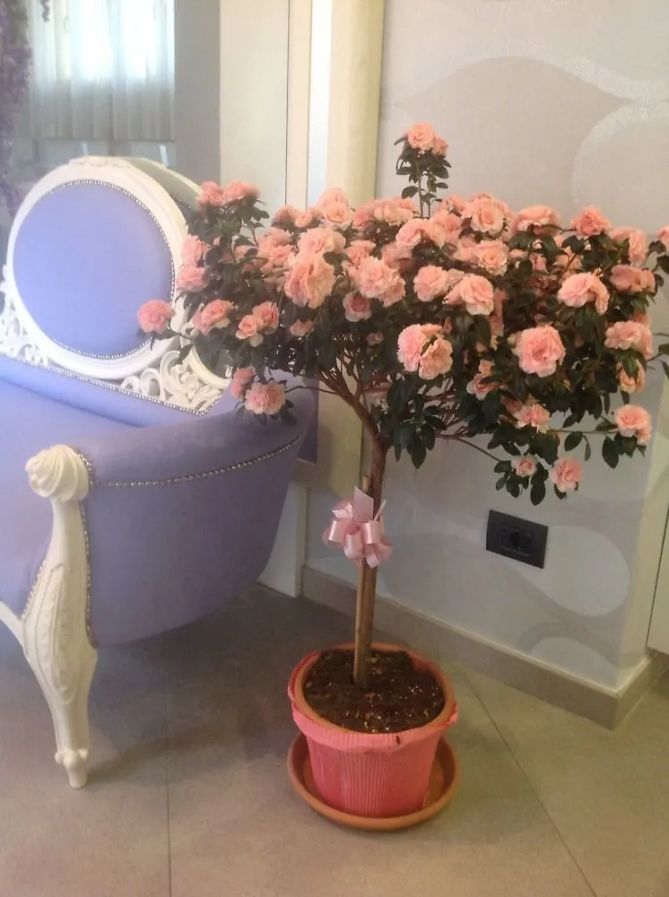 **  Hotel Souvenir Monterosso al Mare Italia